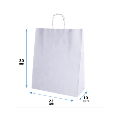 Bolsa 22x30x10 Blanco